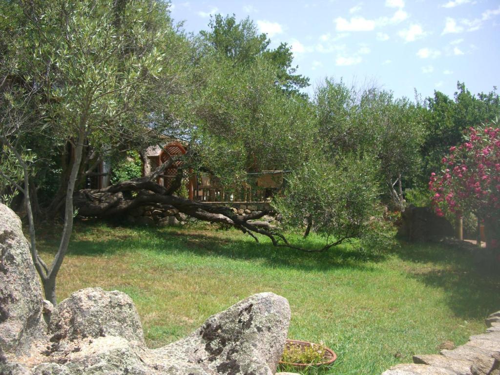 Jaddhu Agriturismo Country Resort Arzachena Exterior foto